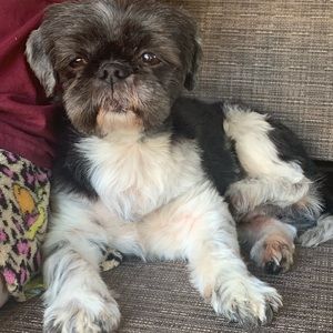 Meet your Posher, Breanna